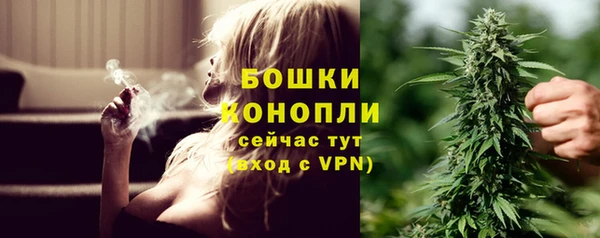 стафф Вязьма