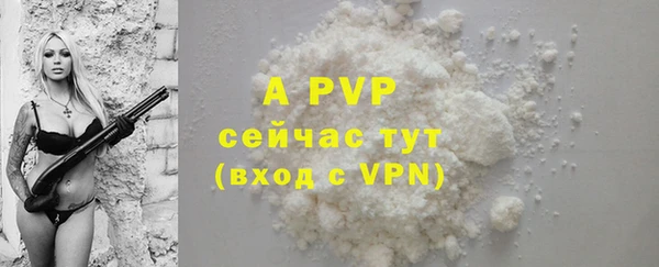 стафф Вяземский