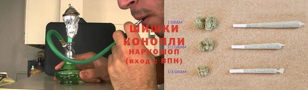 винт Горно-Алтайск