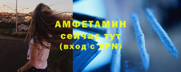 стафф Вяземский