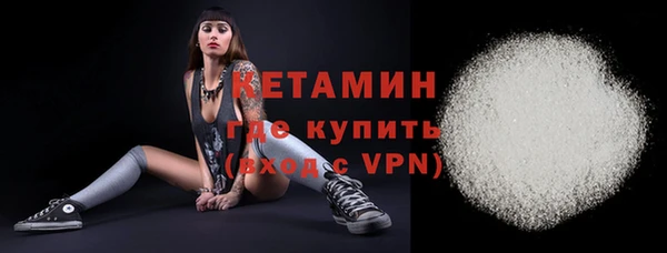 стафф Вязьма