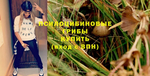 стафф Вязьма