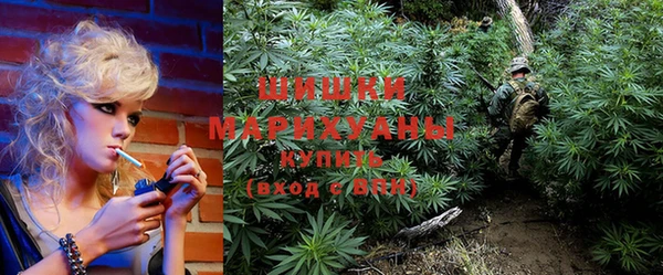 стафф Вязьма